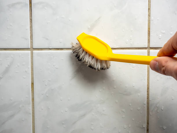 Best Black Mold Removal  in Dayton, KY