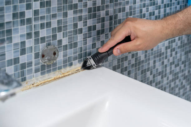 Best Mold Damage Repair  in Dayton, KY